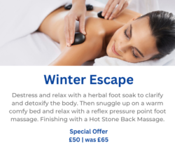 Winter Escape